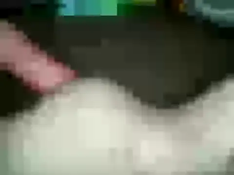 xxxlecram online show from January 15, 2025, 11:53 am