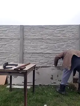 Pandasky online show from February 6, 2025, 11:32 am