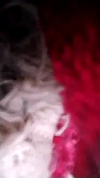 Snapshot of Bigcockmexi13 chatting on October 12, 2025, 3:11 pm Bigcockmexi13 online show from October 12, 2025, 3:11 pm