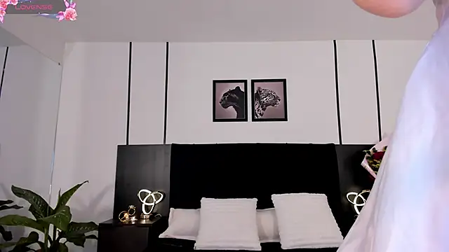 Doll troy online show from February 19, 2026, 2:02 pm