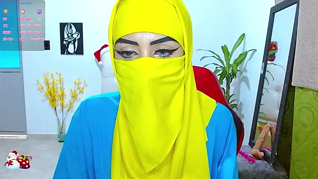 Snapshot of _alabina_ chatting on December 26, 2024, 8:00 pm alabina online show from December 26, 2024, 8:00 pm