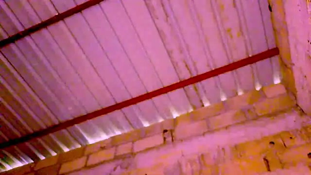 nzanizy online show from January 17, 2025, 10:55 am