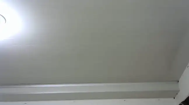 Snapshot of antonellasex1998 chatting on February 11, 2025, 2:46 am antonellasex1998 online show from February 11, 2025, 2:46 am