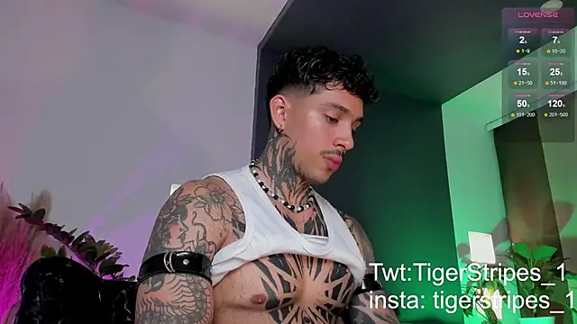 Snapshot of TigerStripes1_ chatting on March 22, 2025, 12:39 am TigerStripes1 online show from March 22, 2025, 12:39 am