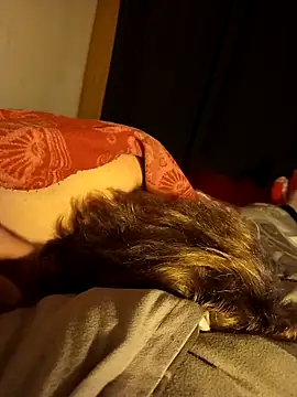 Snapshot of PIercingBoy38 chatting on November 26, 2025, 9:16 pm PIercingBoy38 online show from November 26, 2025, 9:16 pm