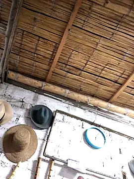 Snapshot of kvr27 chatting on November 3, 2025, 11:00 am kvr27 online show from November 3, 2025, 11:00 am