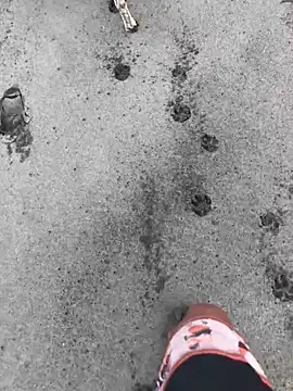 kvr27 online show from February 24, 2026, 1:20 pm