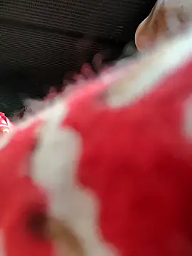 Snapshot of Kolkata___Boy chatting on November 16, 2025, 5:46 am Kolkata Boy online show from November 16, 2025, 5:46 am